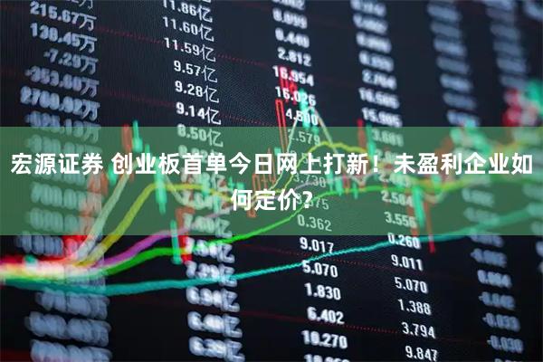 宏源证券 创业板首单今日网上打新！未盈利企业如何定价？
